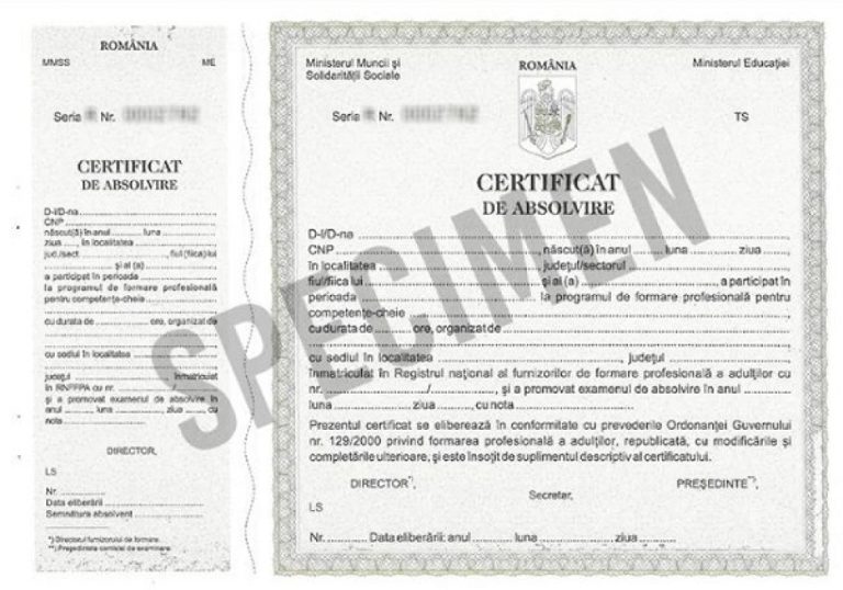Certificate_Competente_Cheie_culoare_Gri